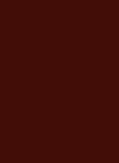 film transparent Mylar®, plain, 1 sheet, walnut brown